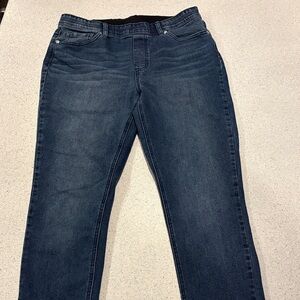 DG2 by Diane Gilman Women's Skinny Jeans - Dark Blue